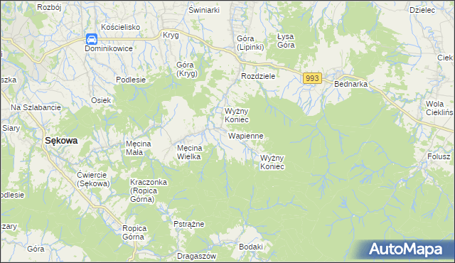 mapa Wapienne, Wapienne na mapie Targeo