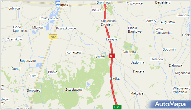 mapa Witów gmina Piątek, Witów gmina Piątek na mapie Targeo