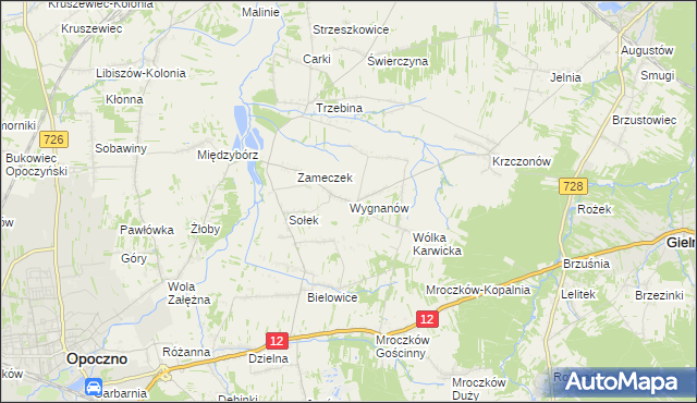 mapa Wygnanów gmina Opoczno, Wygnanów gmina Opoczno na mapie Targeo