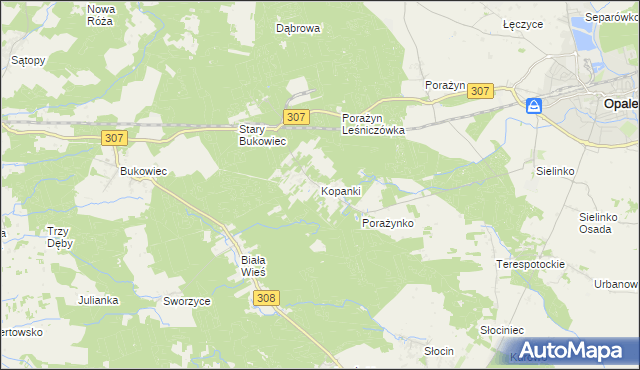 mapa Kopanki gmina Opalenica, Kopanki gmina Opalenica na mapie Targeo