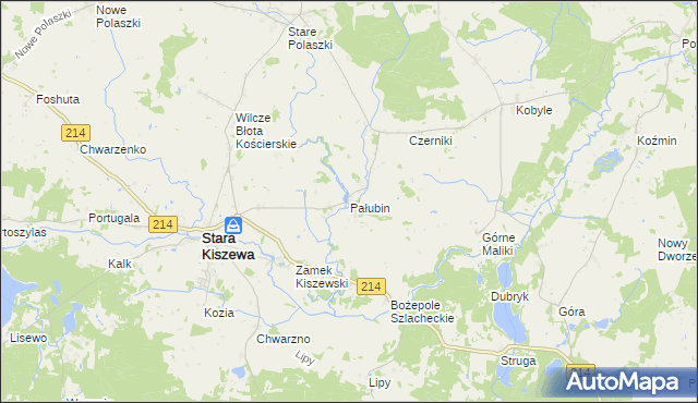 mapa Pałubin, Pałubin na mapie Targeo