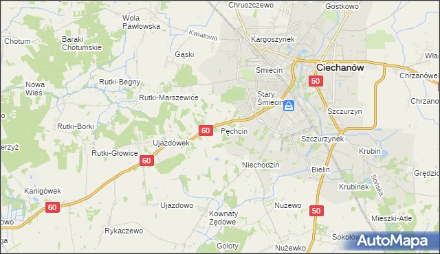 mapa Pęchcin, Pęchcin na mapie Targeo