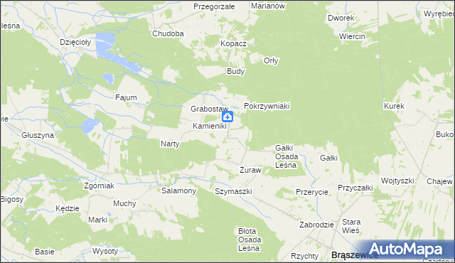 mapa Trzcinka gmina Brąszewice, Trzcinka gmina Brąszewice na mapie Targeo