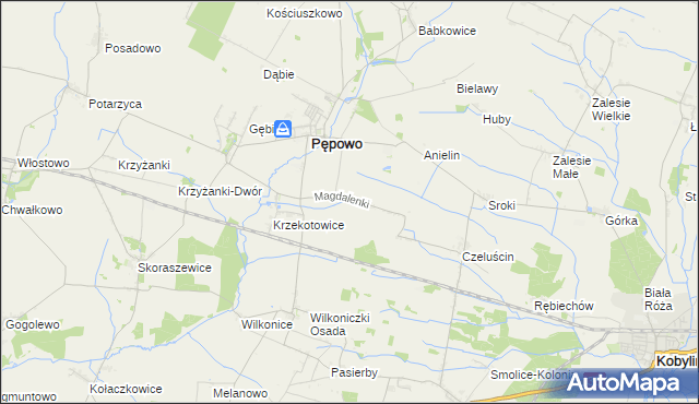 mapa Magdalenki gmina Pępowo, Magdalenki gmina Pępowo na mapie Targeo