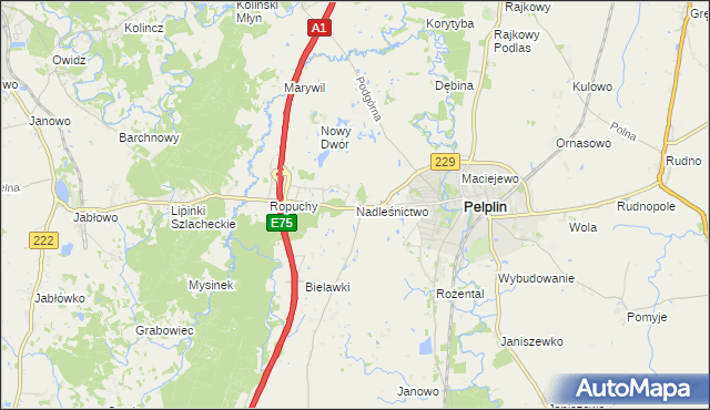 mapa Nadleśnictwo, Nadleśnictwo na mapie Targeo