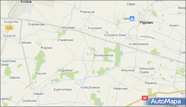 mapa Skoraszewice, Skoraszewice na mapie Targeo