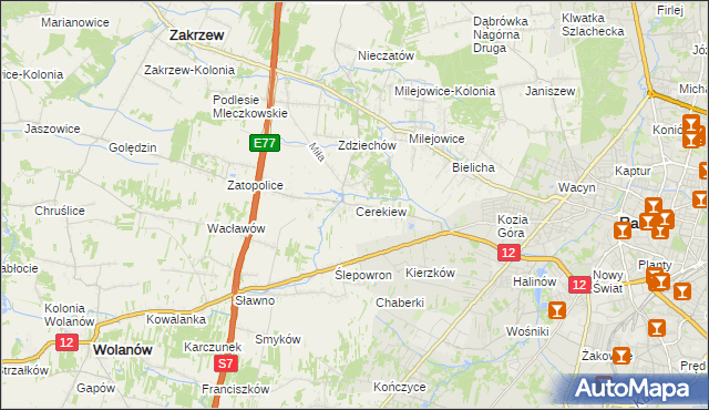 mapa Cerekiew gmina Zakrzew, Cerekiew gmina Zakrzew na mapie Targeo