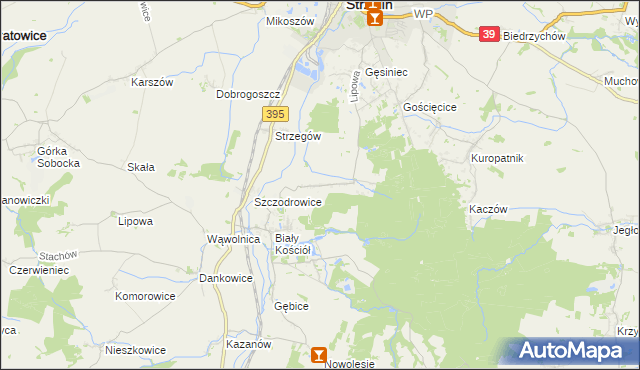 mapa Dębniki gmina Strzelin, Dębniki gmina Strzelin na mapie Targeo