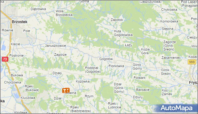 mapa Gogołów gmina Frysztak, Gogołów gmina Frysztak na mapie Targeo