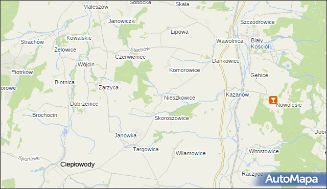 mapa Nieszkowice gmina Strzelin, Nieszkowice gmina Strzelin na mapie Targeo