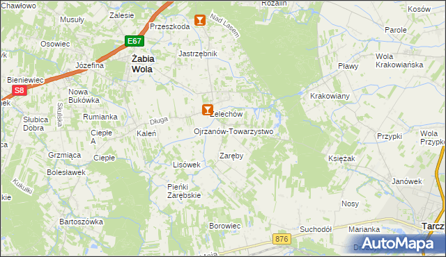 mapa Ojrzanów gmina Żabia Wola, Ojrzanów gmina Żabia Wola na mapie Targeo