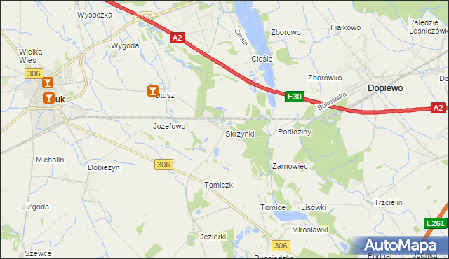 mapa Skrzynki gmina Stęszew, Skrzynki gmina Stęszew na mapie Targeo