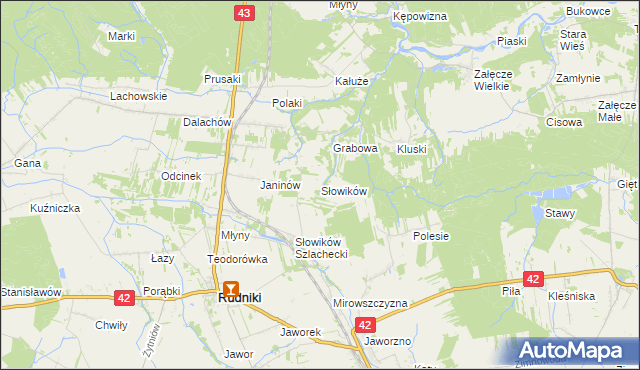 mapa Słowików gmina Rudniki, Słowików gmina Rudniki na mapie Targeo