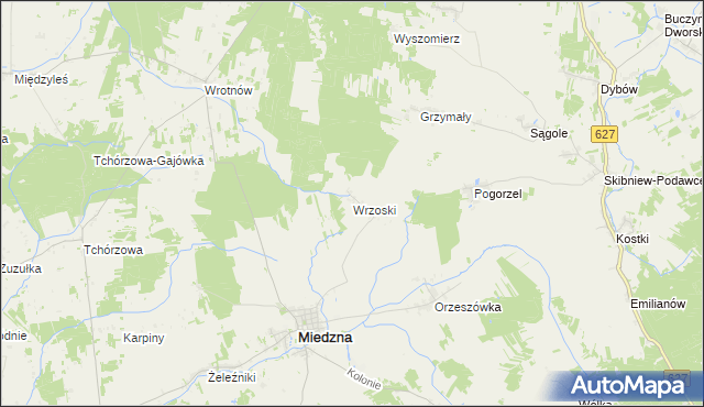 mapa Wrzoski gmina Miedzna, Wrzoski gmina Miedzna na mapie Targeo