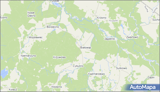 mapa Białowąs, Białowąs na mapie Targeo