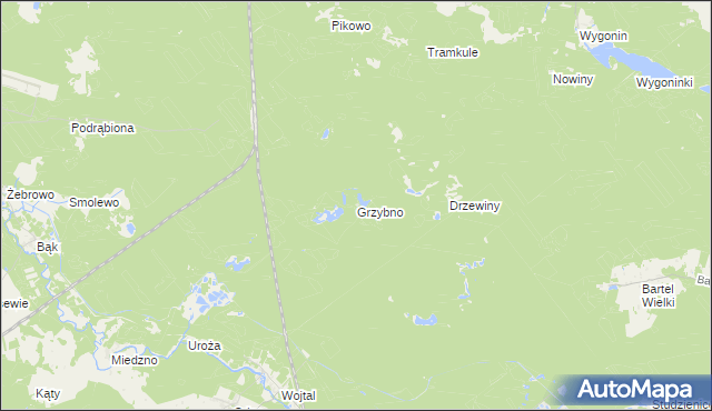 mapa Grzybno gmina Stara Kiszewa, Grzybno gmina Stara Kiszewa na mapie Targeo