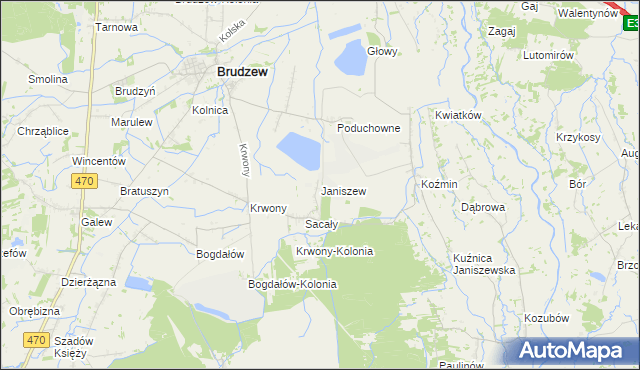 mapa Janiszew gmina Brudzew, Janiszew gmina Brudzew na mapie Targeo