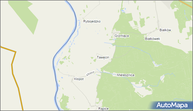 mapa Tawęcin, Tawęcin na mapie Targeo