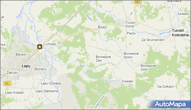 mapa Borowskie Żaki, Borowskie Żaki na mapie Targeo