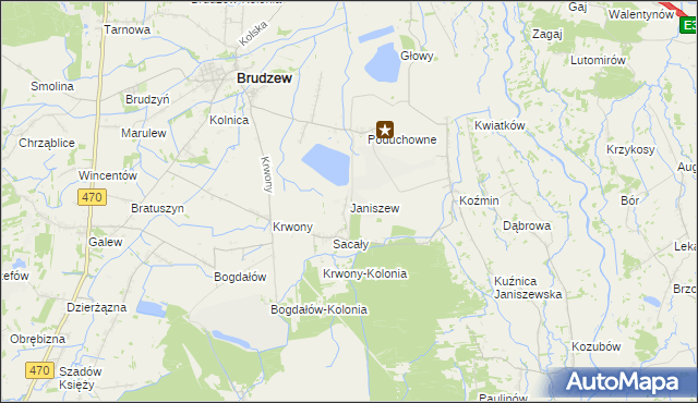 mapa Janiszew gmina Brudzew, Janiszew gmina Brudzew na mapie Targeo