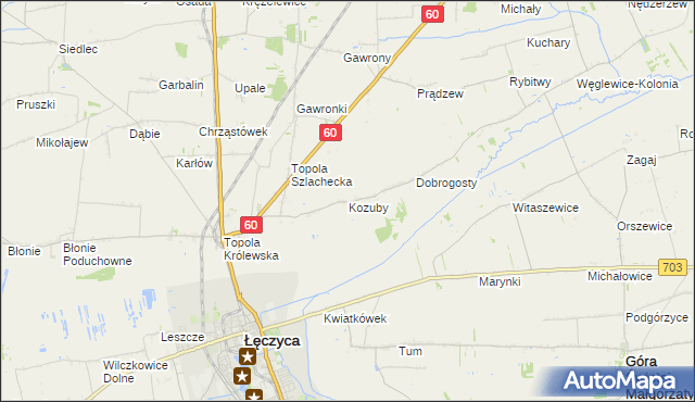 mapa Kozuby gmina Łęczyca, Kozuby gmina Łęczyca na mapie Targeo