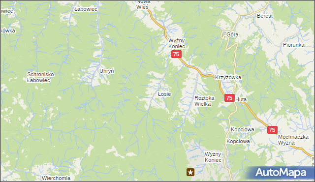 mapa Łosie gmina Łabowa, Łosie gmina Łabowa na mapie Targeo