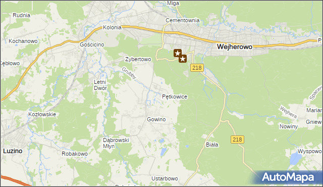 mapa Pętkowice gmina Wejherowo, Pętkowice gmina Wejherowo na mapie Targeo