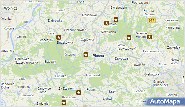 mapa Pleśna powiat tarnowski, Pleśna powiat tarnowski na mapie Targeo