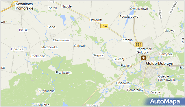 mapa Skępsk, Skępsk na mapie Targeo