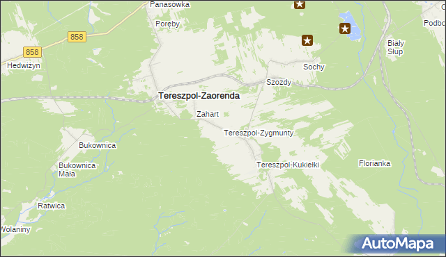mapa Tereszpol-Zygmunty, Tereszpol-Zygmunty na mapie Targeo