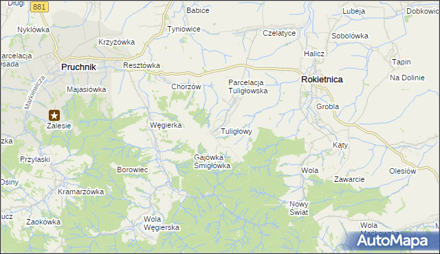 mapa Tuligłowy gmina Rokietnica, Tuligłowy gmina Rokietnica na mapie Targeo