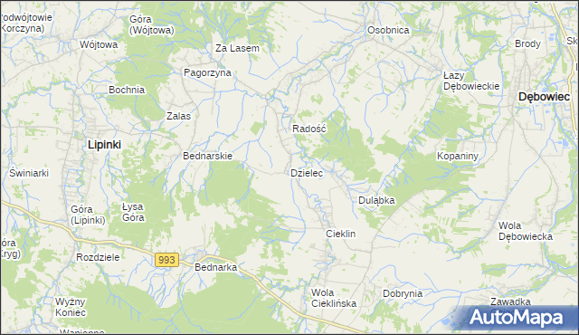 mapa Dzielec, Dzielec na mapie Targeo