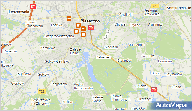 mapa Żabieniec gmina Piaseczno, Żabieniec gmina Piaseczno na mapie Targeo