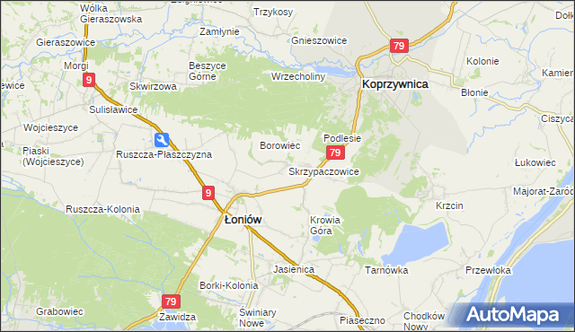 mapa Skrzypaczowice, Skrzypaczowice na mapie Targeo