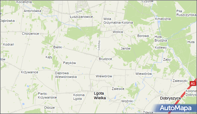 mapa Brudzice, Brudzice na mapie Targeo