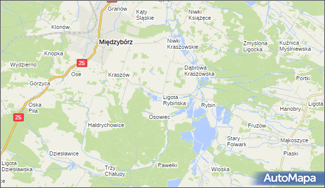 mapa Ligota Rybińska, Ligota Rybińska na mapie Targeo