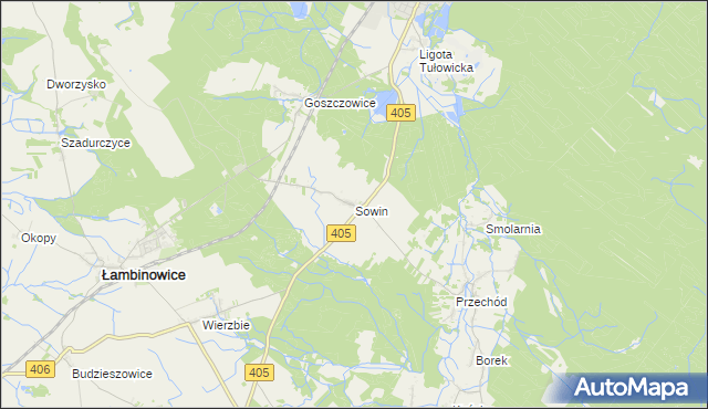 mapa Sowin gmina Łambinowice, Sowin gmina Łambinowice na mapie Targeo