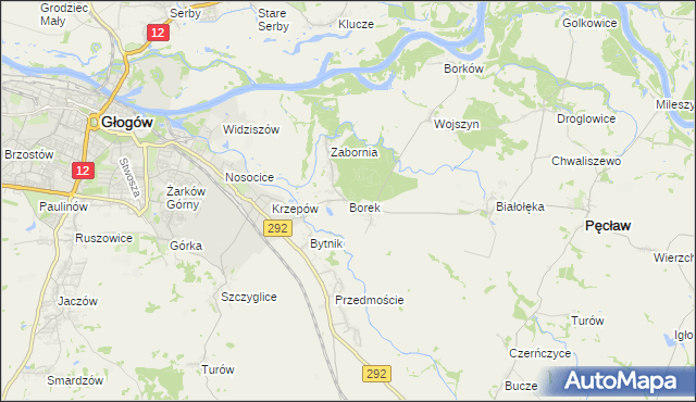 mapa Borek gmina Głogów, Borek gmina Głogów na mapie Targeo