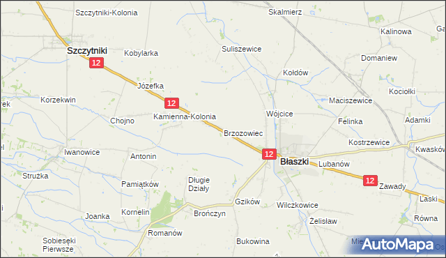 mapa Brzozowiec gmina Błaszki, Brzozowiec gmina Błaszki na mapie Targeo