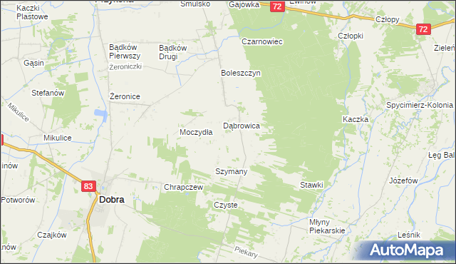 mapa Dąbrowica-Kolonia, Dąbrowica-Kolonia na mapie Targeo