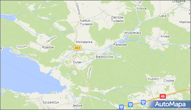 mapa Biestrzynnik, Biestrzynnik na mapie Targeo