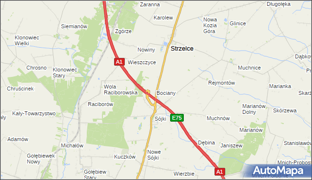 mapa Bociany gmina Strzelce, Bociany gmina Strzelce na mapie Targeo