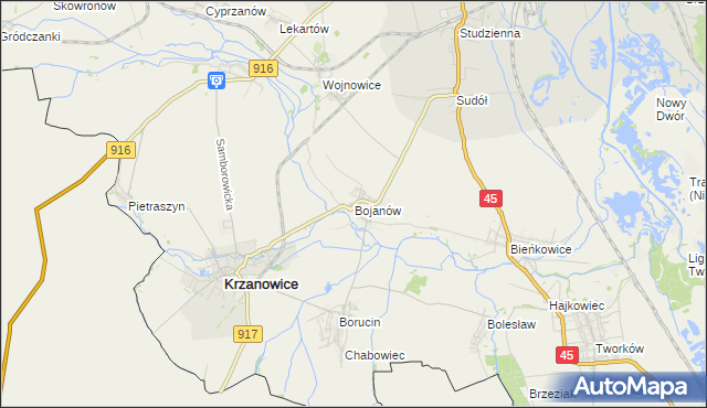 mapa Bojanów gmina Krzanowice, Bojanów gmina Krzanowice na mapie Targeo