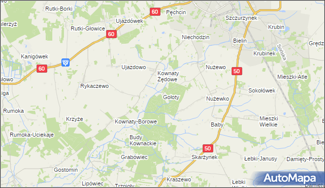 mapa Gołoty gmina Ciechanów, Gołoty gmina Ciechanów na mapie Targeo