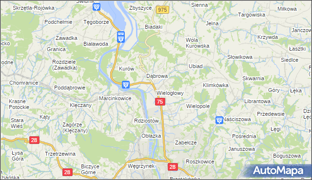 mapa Wielogłowy gmina Chełmiec, Wielogłowy gmina Chełmiec na mapie Targeo