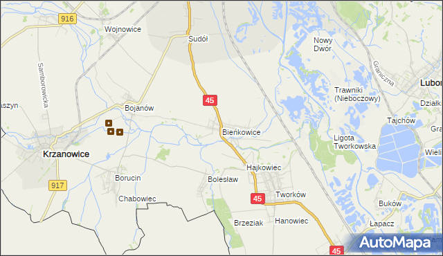 mapa Bieńkowice gmina Krzyżanowice, Bieńkowice gmina Krzyżanowice na mapie Targeo