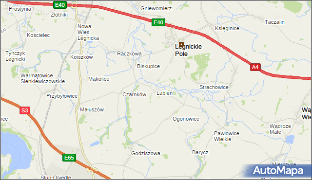 mapa Lubień gmina Legnickie Pole, Lubień gmina Legnickie Pole na mapie Targeo