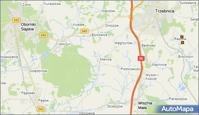 mapa Mienice, Mienice na mapie Targeo