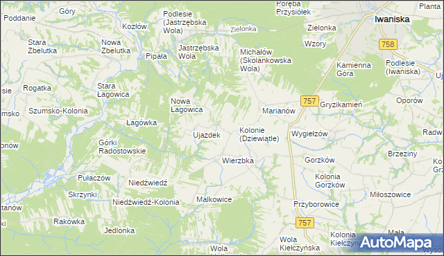 mapa Dziewiątle, Dziewiątle na mapie Targeo