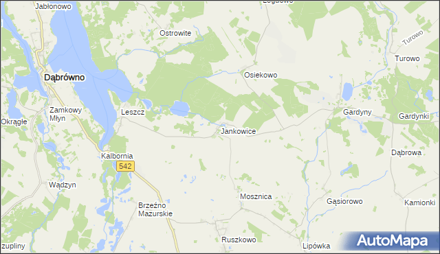 mapa Jankowice gmina Działdowo, Jankowice gmina Działdowo na mapie Targeo